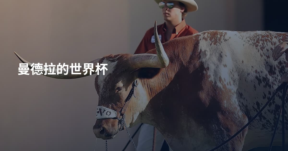 曼德拉的世界杯
