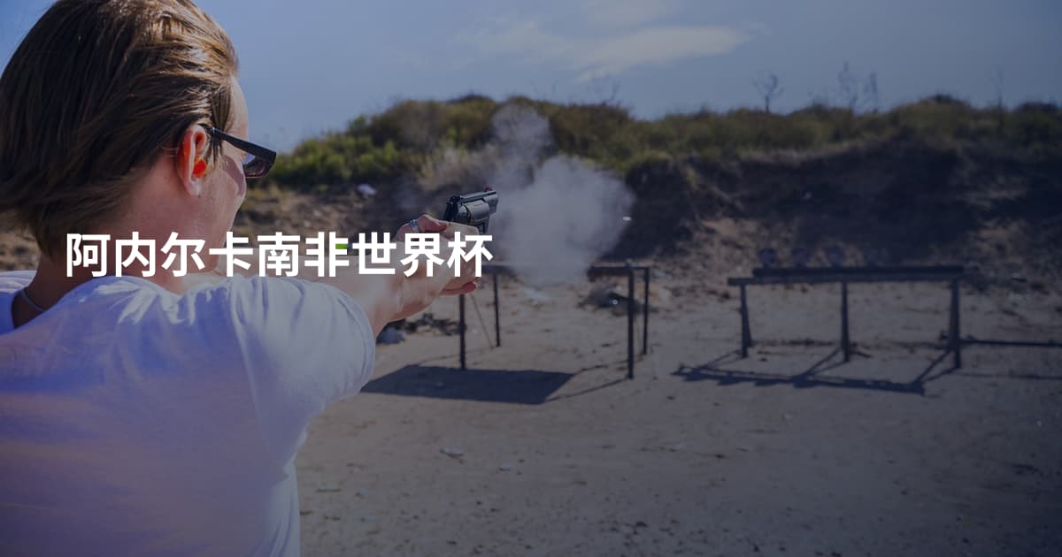 阿内尔卡南非世界杯