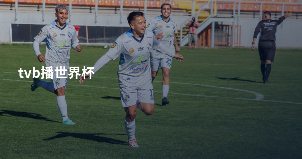 tvb播世界杯