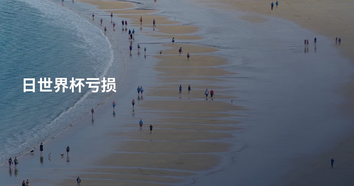 日世界杯亏损