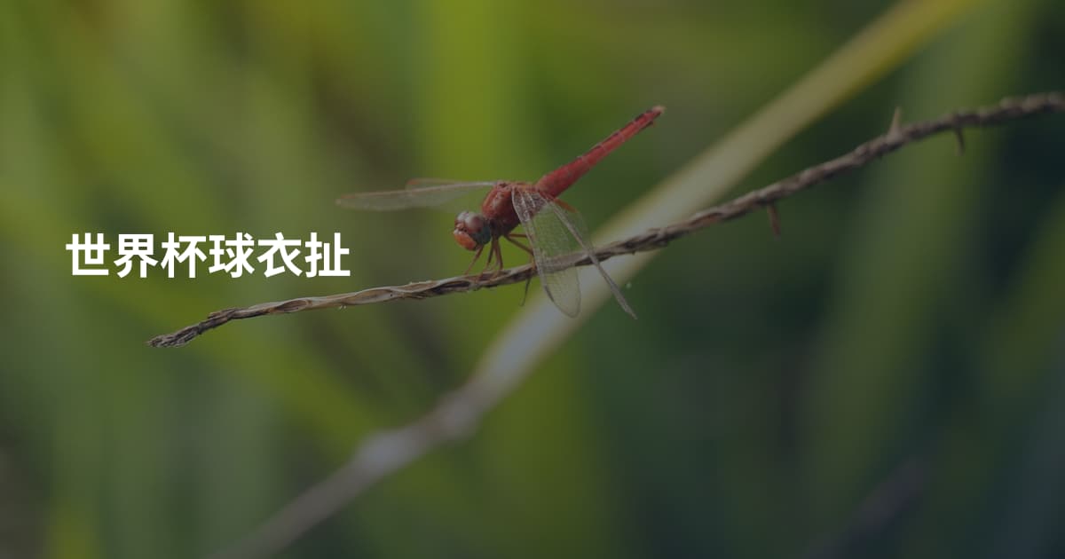 世界杯球衣扯