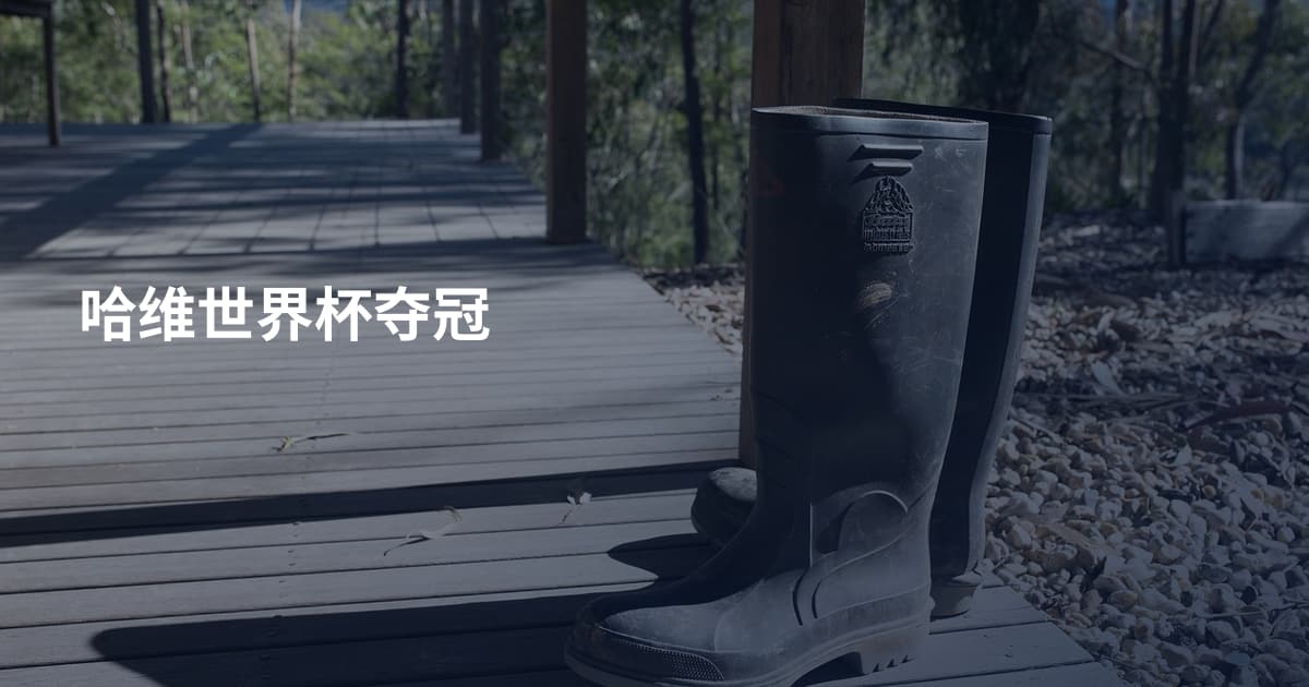 哈维世界杯夺冠