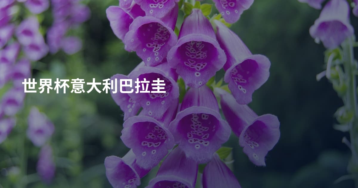世界杯意大利巴拉圭