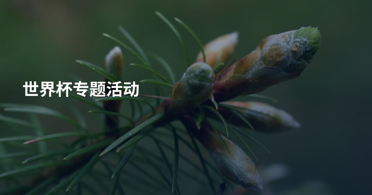世界杯专题活动