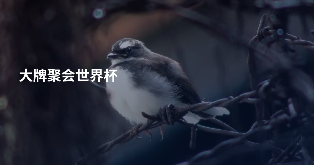 大牌聚会世界杯