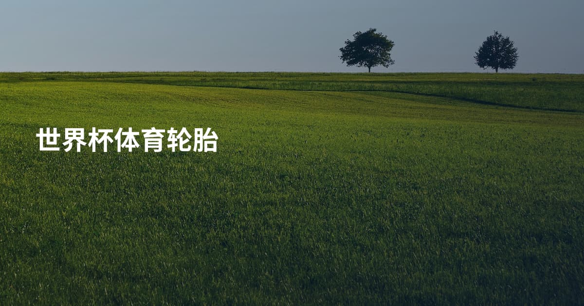 世界杯体育轮胎