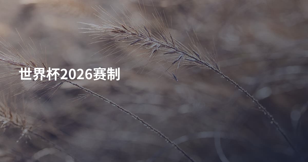 世界杯2026赛制