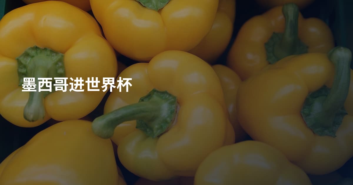 墨西哥进世界杯