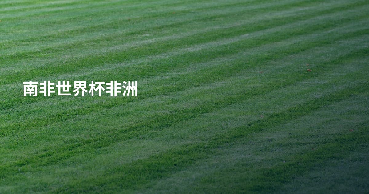 南非世界杯非洲