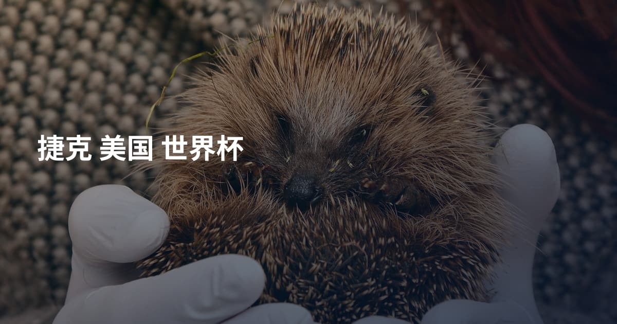 捷克 美国 世界杯