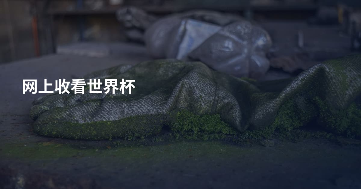 网上收看世界杯
