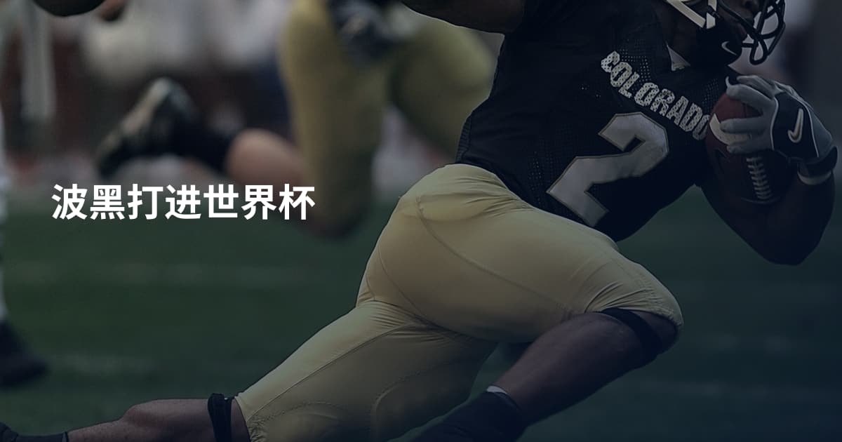 波黑打进世界杯