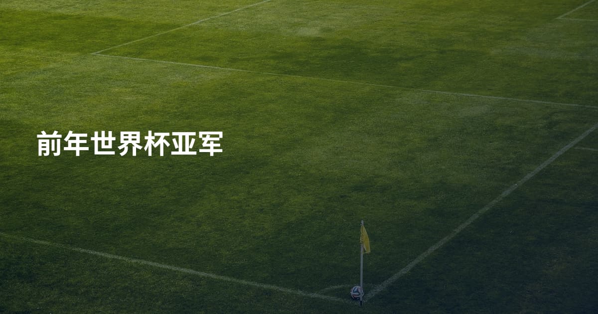 前年世界杯亚军