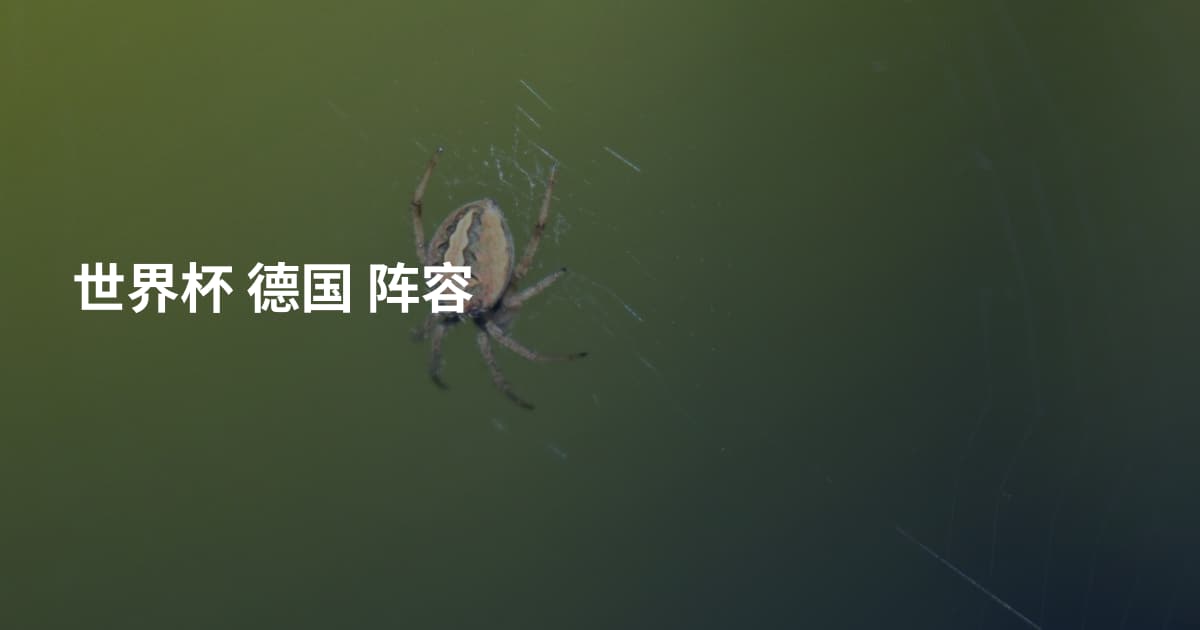 世界杯 德国 阵容