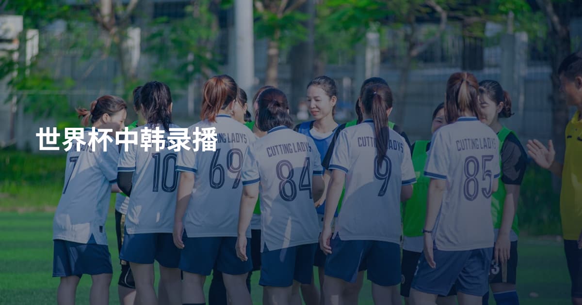 世界杯中韩录播