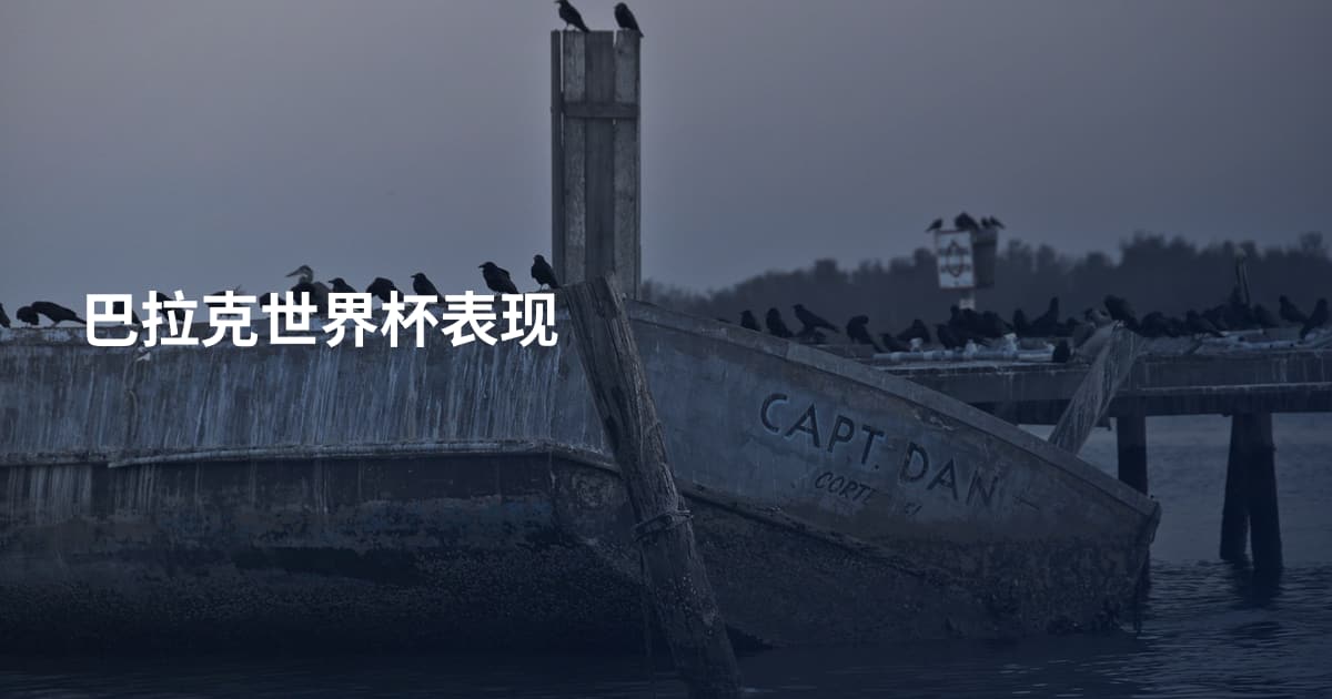 巴拉克世界杯表现