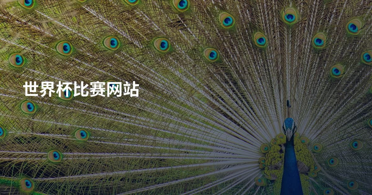 世界杯比赛网站