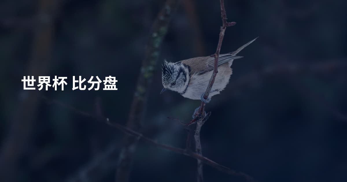 世界杯 比分盘