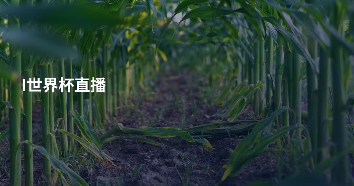 I世界杯直播
