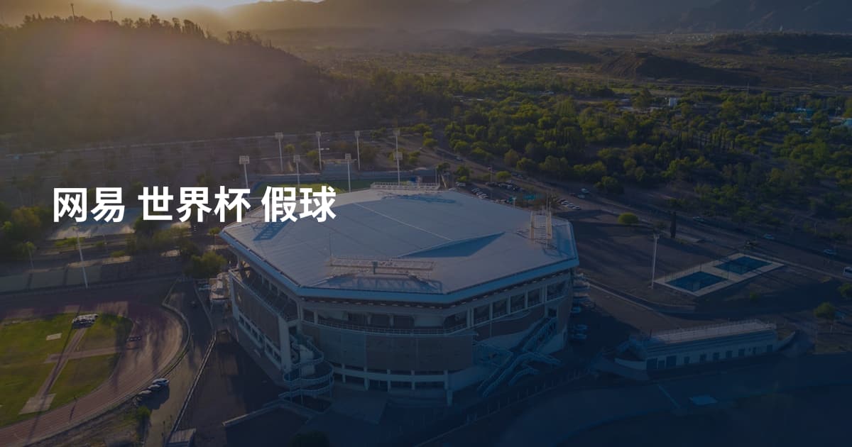 网易 世界杯 假球