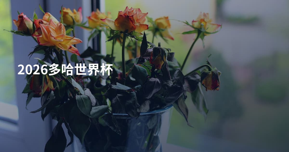 2026多哈世界杯
