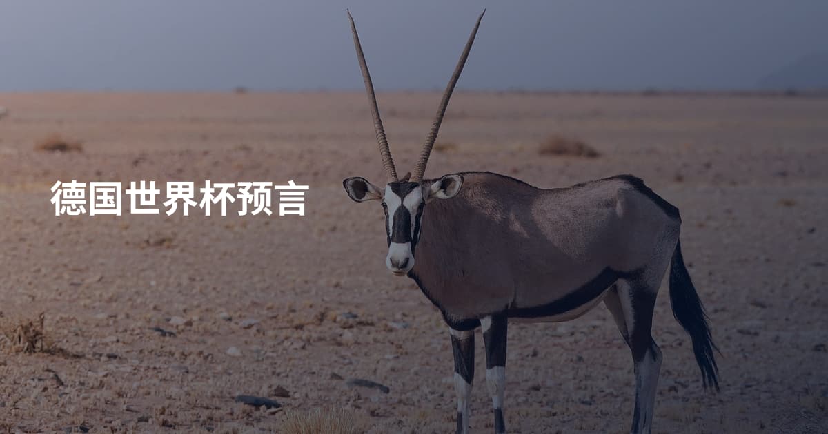 德国世界杯预言