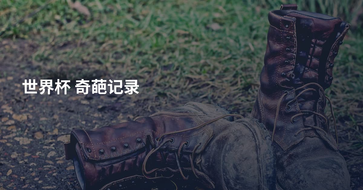 世界杯 奇葩记录