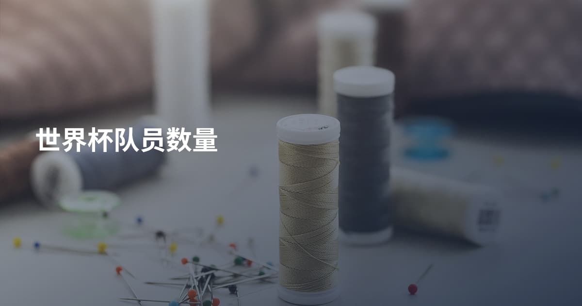 世界杯队员数量