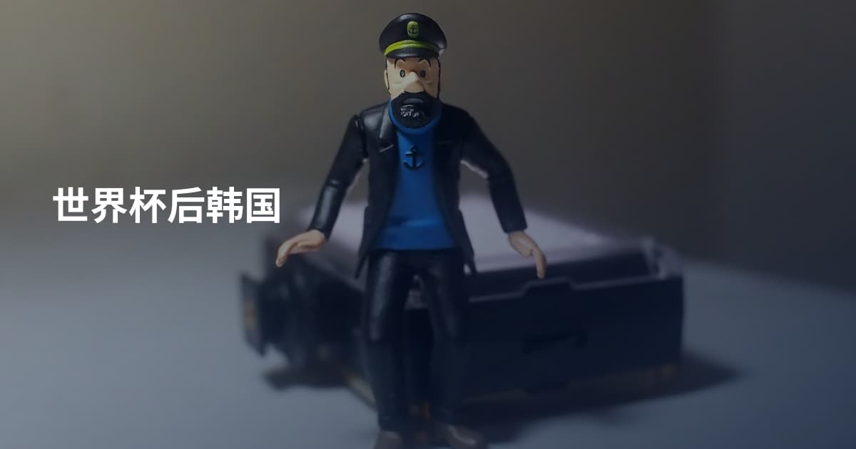 世界杯后韩国