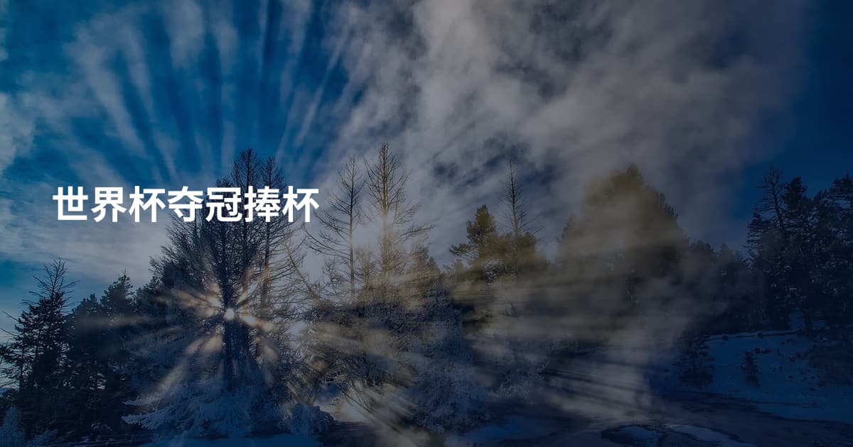 世界杯夺冠捧杯