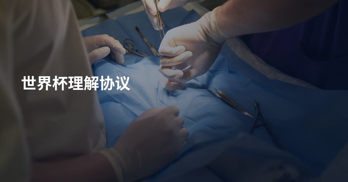 世界杯理解协议