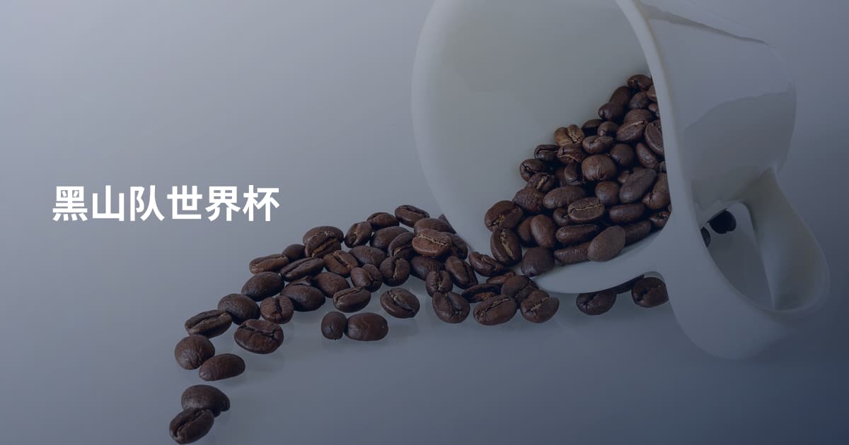 黑山队世界杯