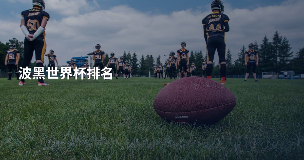 波黑世界杯排名