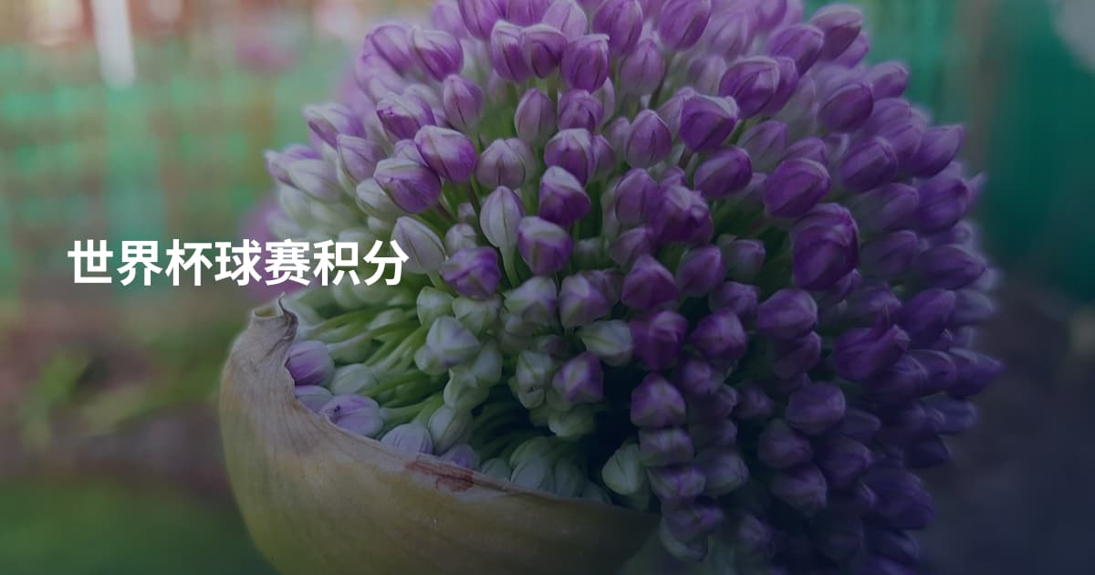 世界杯球赛积分