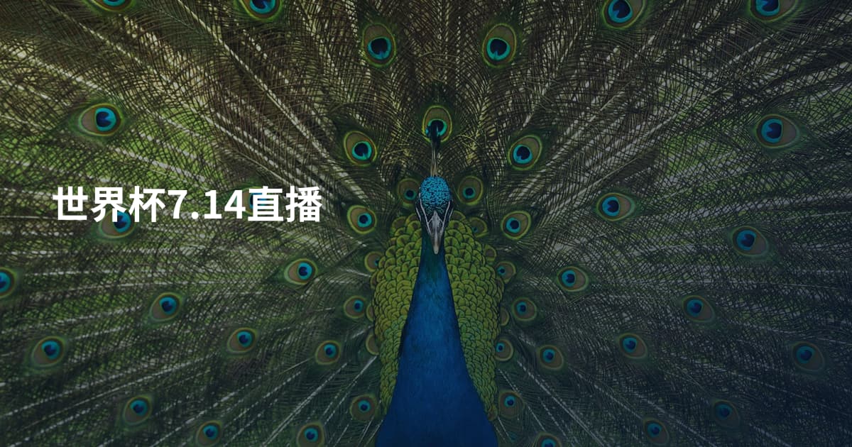 世界杯7.14直播