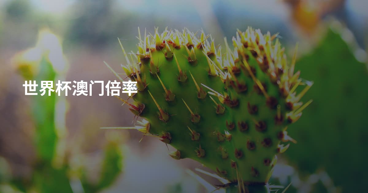 世界杯澳门倍率