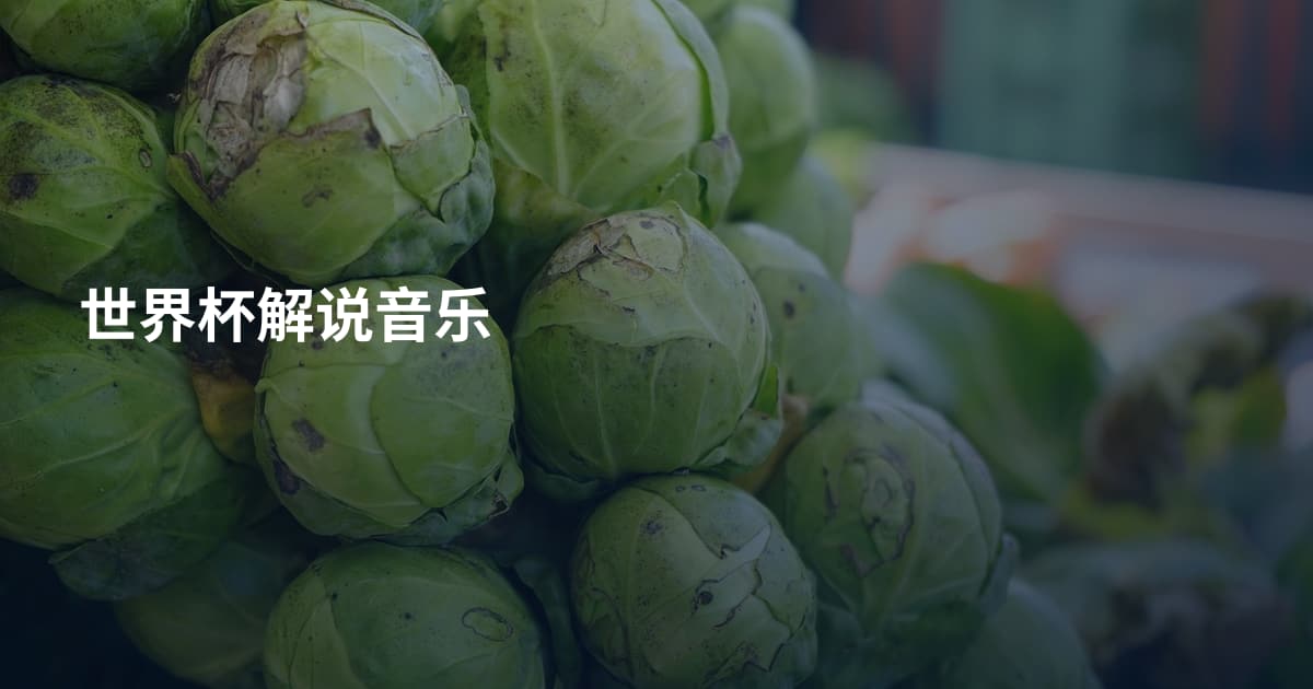 世界杯解说音乐
