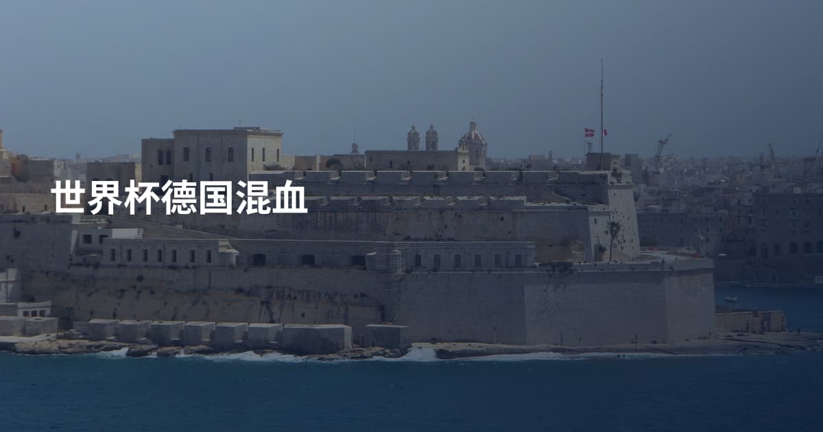 世界杯德国混血