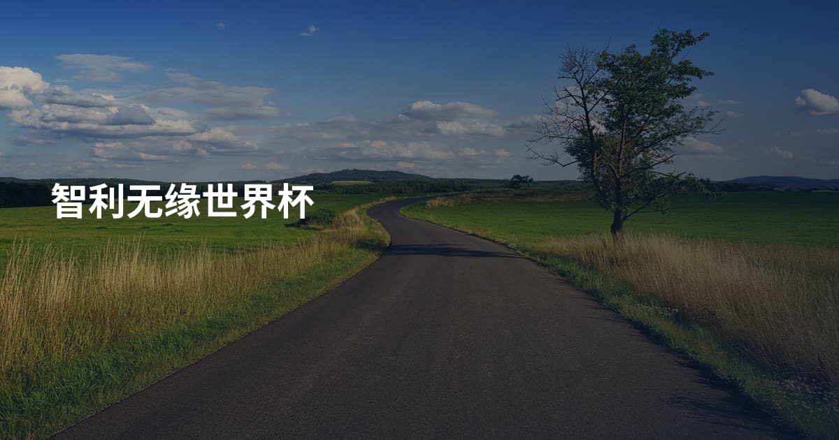 智利无缘世界杯