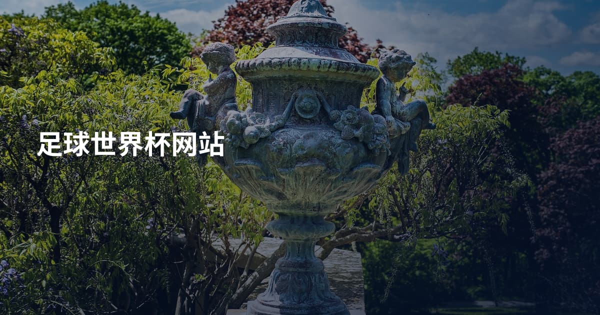 足球世界杯网站