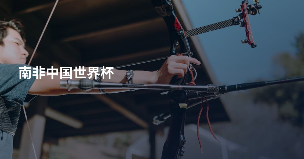 南非中国世界杯