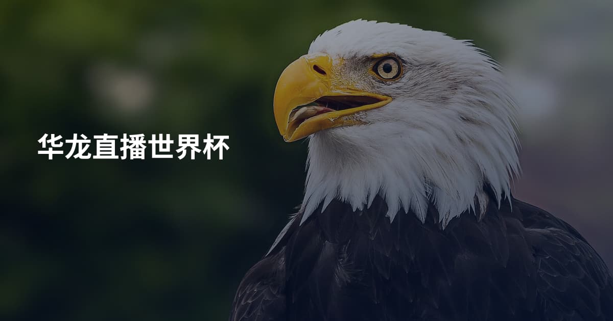 华龙直播世界杯