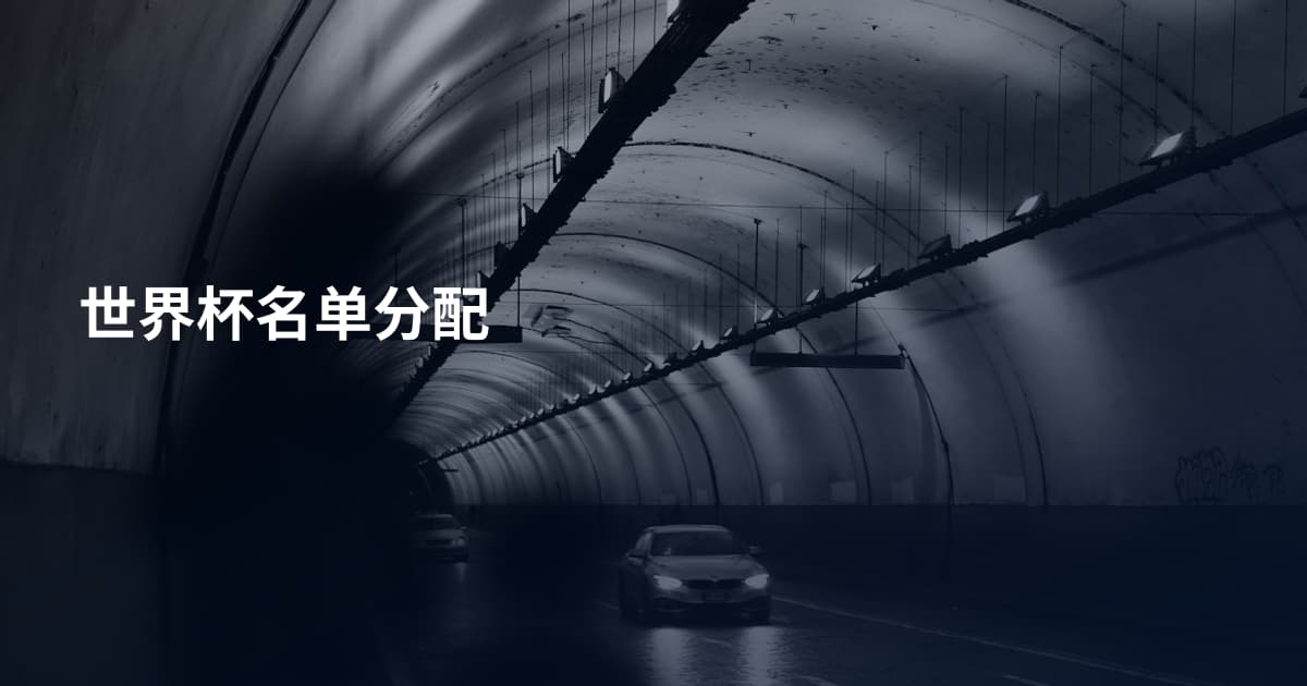 世界杯名单分配