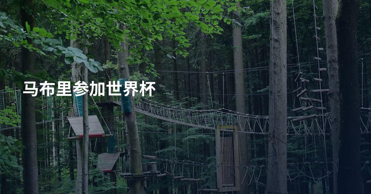 马布里参加世界杯