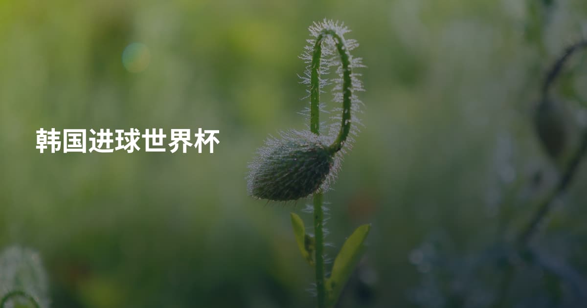韩国进球世界杯
