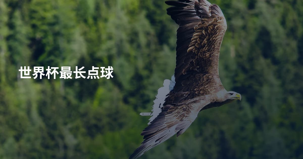 世界杯最长点球