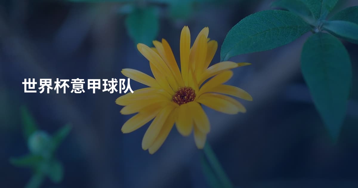 世界杯意甲球队
