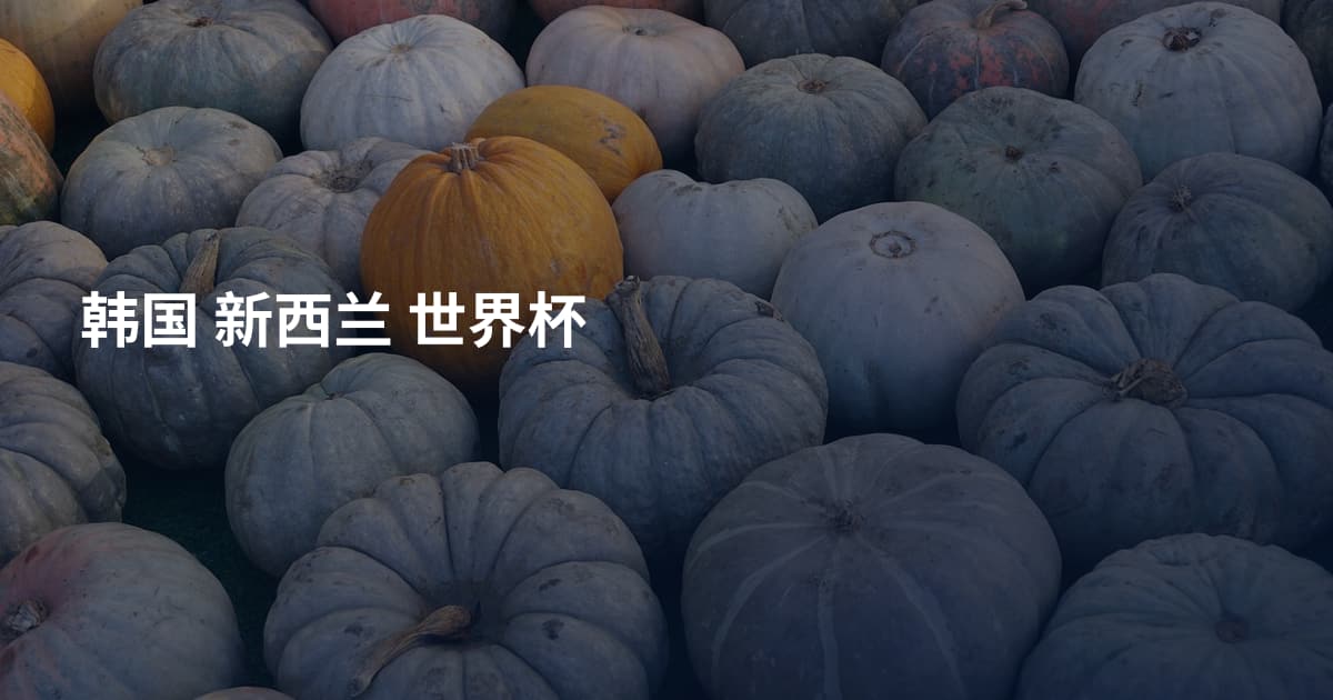 韩国 新西兰 世界杯