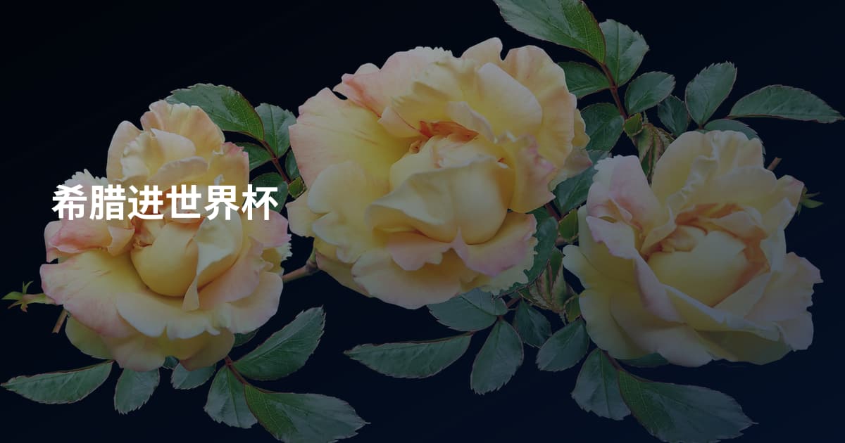 希腊进世界杯
