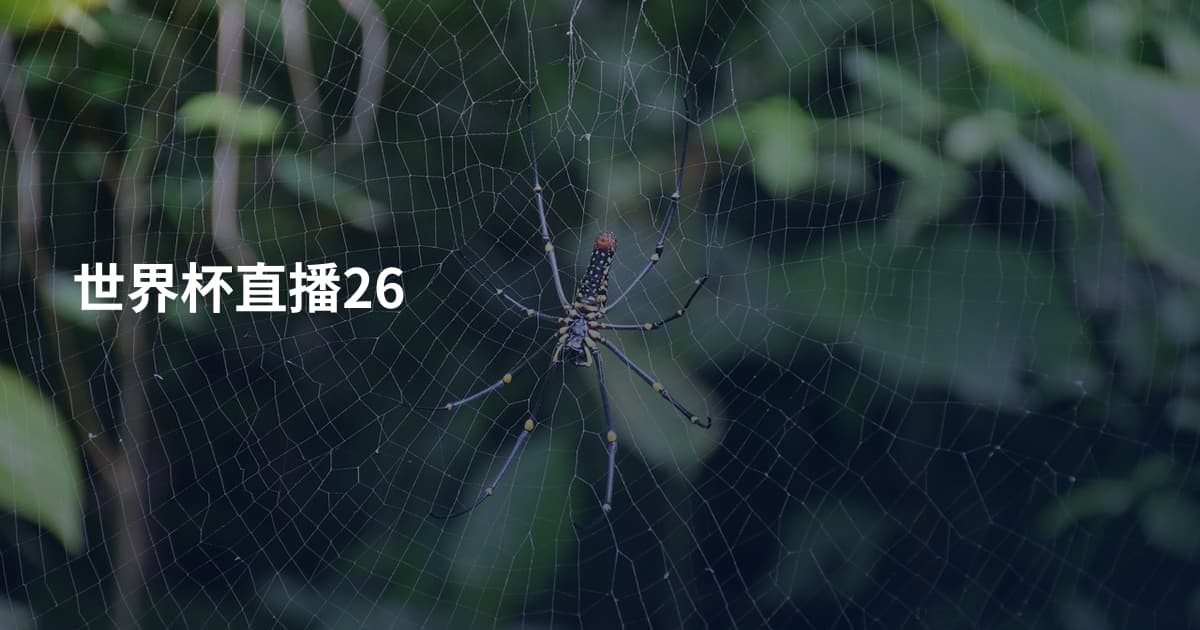 世界杯直播26